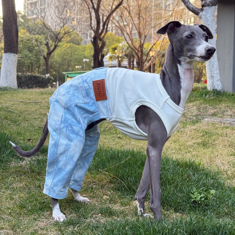 Denim Elastic Jumpsuit for Italian Greyhound Whippet Dog Sleeveless Clothes - PIKAPIKA