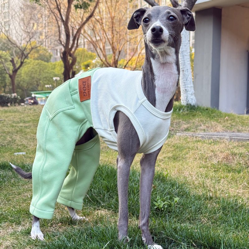 Denim Elastic Jumpsuit for Italian Greyhound Whippet Dog Sleeveless Clothes - PIKAPIKA