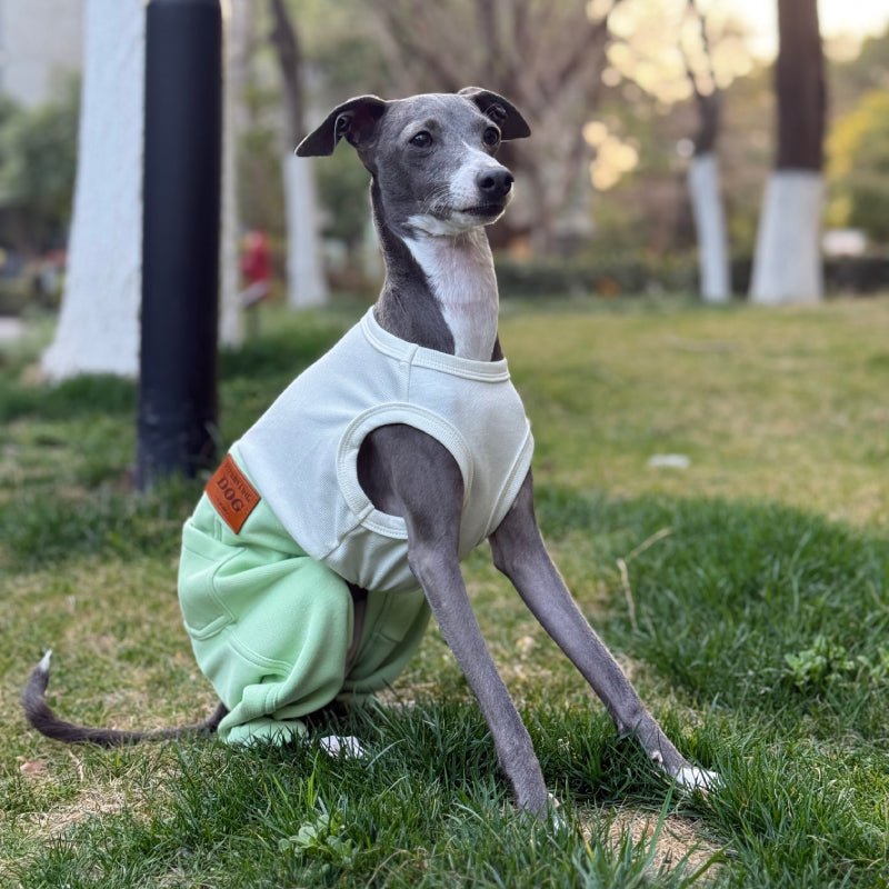 Denim Elastic Jumpsuit for Italian Greyhound Whippet Dog Sleeveless Clothes - PIKAPIKA