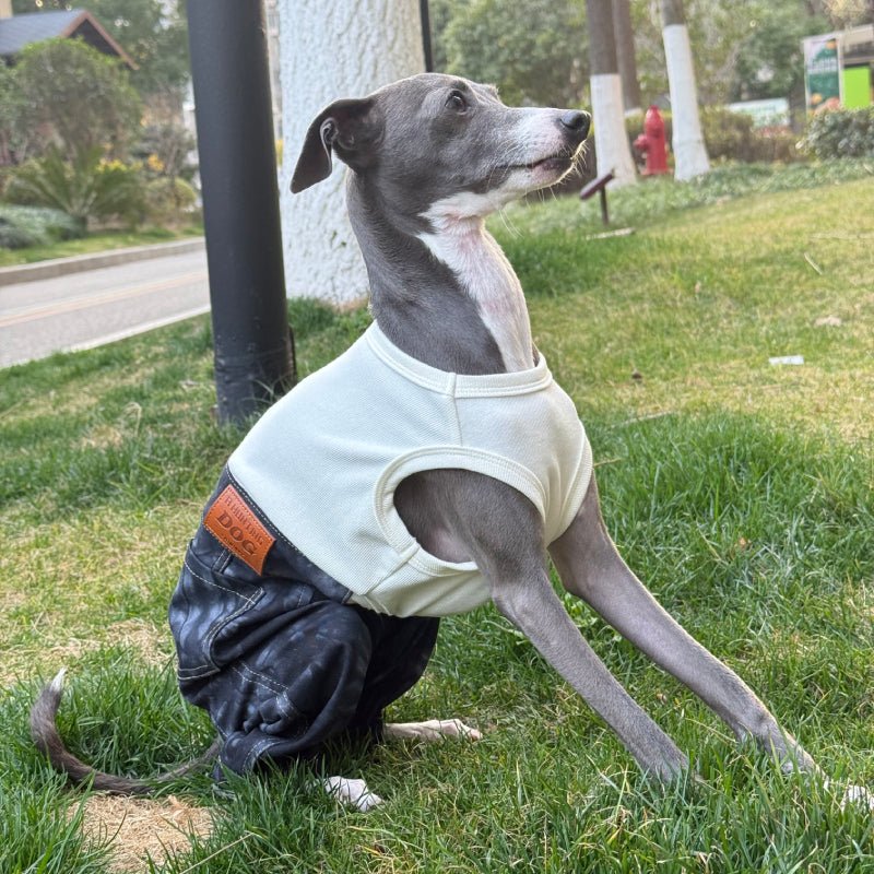 Denim Elastic Jumpsuit for Italian Greyhound Whippet Dog Sleeveless Clothes - PIKAPIKA
