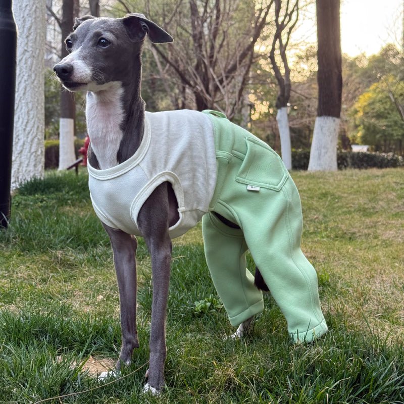 Denim Elastic Jumpsuit for Italian Greyhound Whippet Dog Sleeveless Clothes - PIKAPIKA