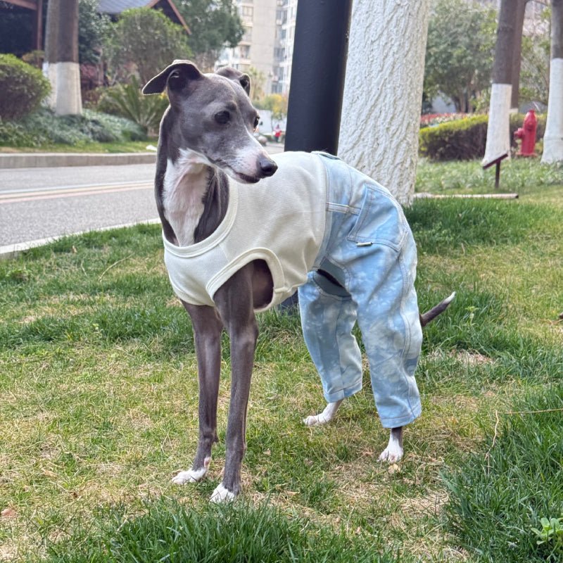 Denim Elastic Jumpsuit for Italian Greyhound Whippet Dog Sleeveless Clothes - PIKAPIKA