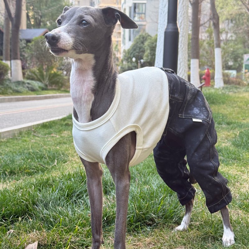 Denim Elastic Jumpsuit for Italian Greyhound Whippet Dog Sleeveless Clothes - PIKAPIKA
