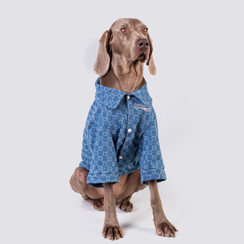 Denim Shirt Big Dog Clothes Cotton Soft Spring - PIKAPIKA