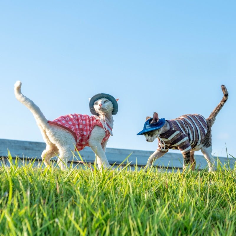 Denim Sun Hat Sphynx Cat Clothes Devon Rex Cotton Summer Fisherman Hat - PIKAPIKA