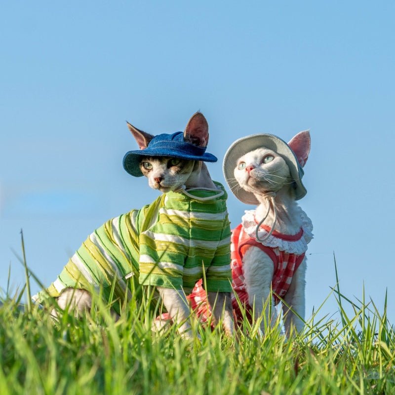 Denim Sun Hat Sphynx Cat Clothes Devon Rex Cotton Summer Fisherman Hat - PIKAPIKA
