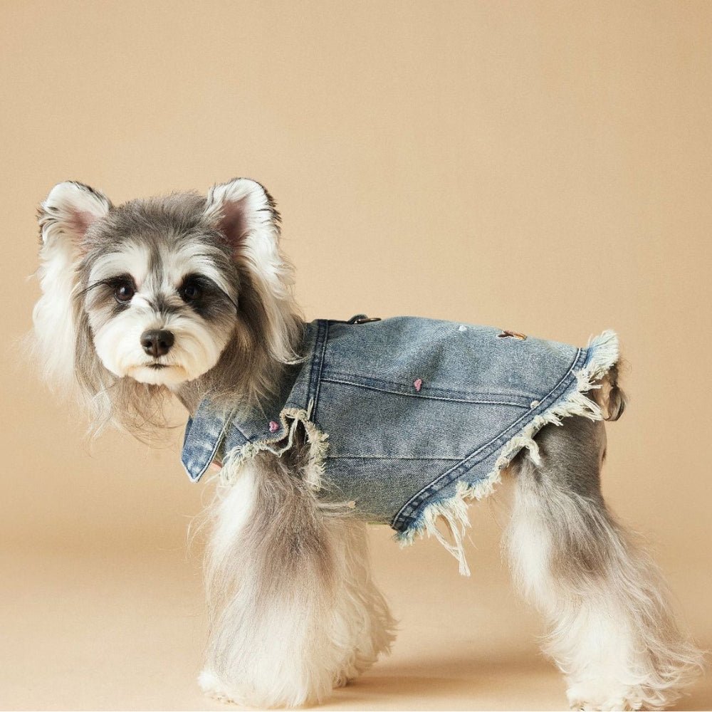 ocean denim dog dress sale Vest Jacket Dachshund Clothes With D-ring beaded embellished on top Newman's Own Organics Oil This blue denim dress Color:Rose Golden