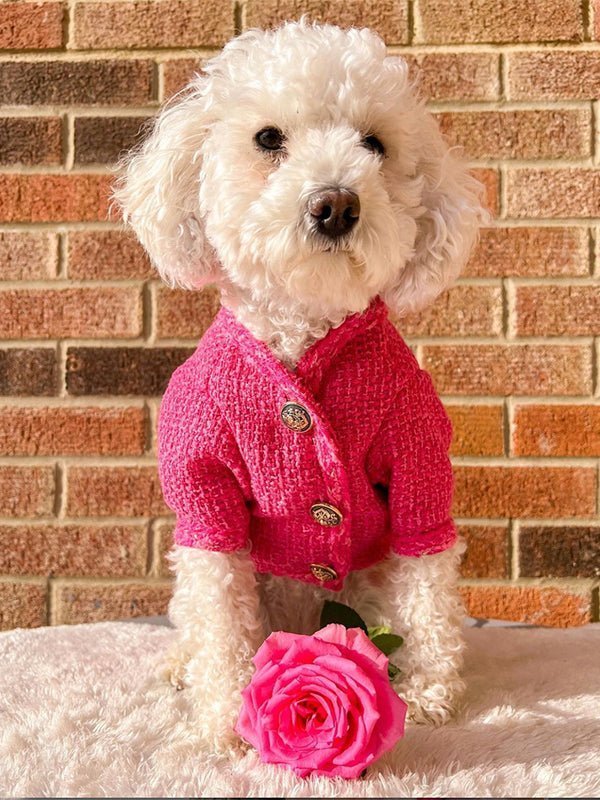 Design Style Jacket Warm Dog Clothes - PIKAPIKA