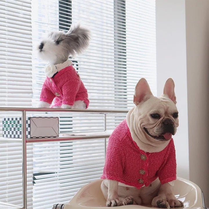 Design Style Jacket Warm Dog Clothes - PIKAPIKA