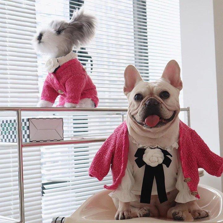 Design Style Jacket Warm Dog Clothes - PIKAPIKA