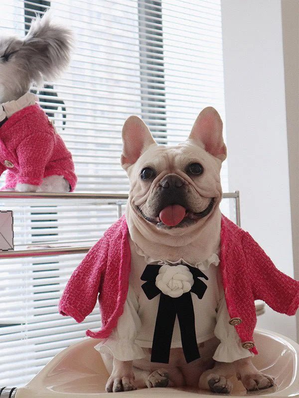 Design Style Jacket Warm Dog Clothes - PIKAPIKA