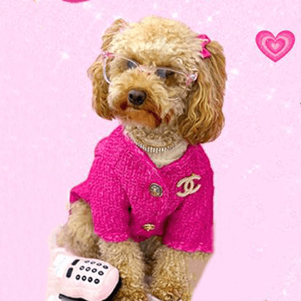 Design Style Jacket Warm Dog Clothes - PIKAPIKA