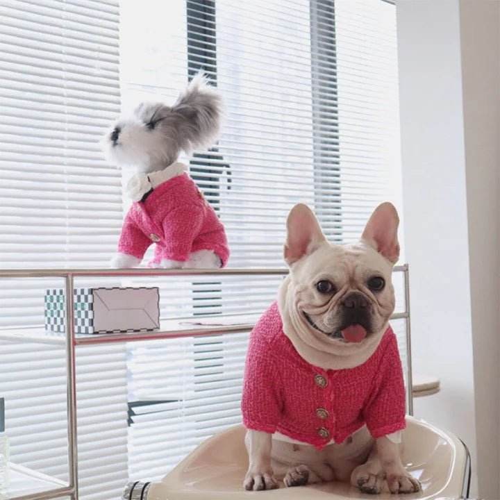 Design Style Jacket Warm Dog Clothes - PIKAPIKA