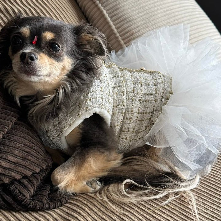 Design Style Luxury Dress Dog Clothes - PIKAPIKA