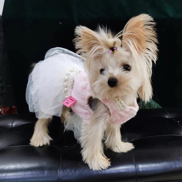 Design Style Luxury Dress Dog Clothes - PIKAPIKA