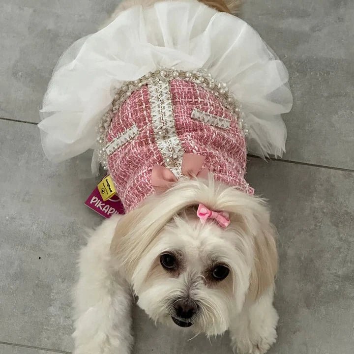 Design Style Luxury Dress Dog Clothes - PIKAPIKA