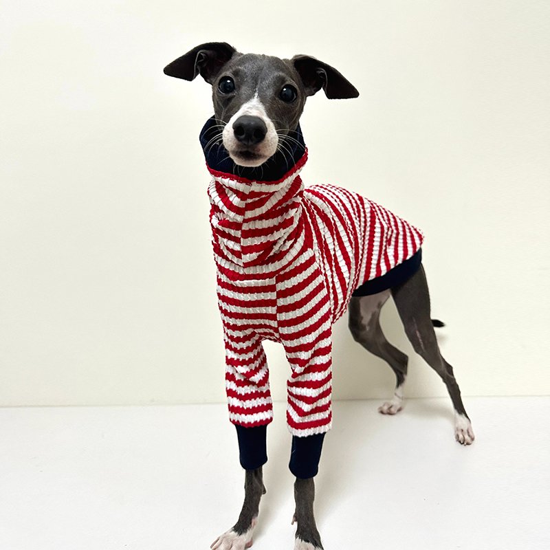 Dog Clothes Cotton Stripe Shirts for Italian Greyhound Whippet - PIKAPIKA