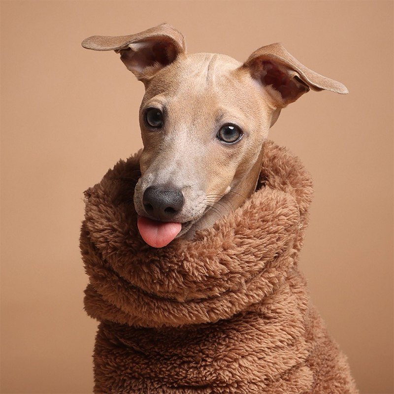 Dog Clothes Double Fleece Onesie Italian Greyhound Whippet - PIKAPIKA