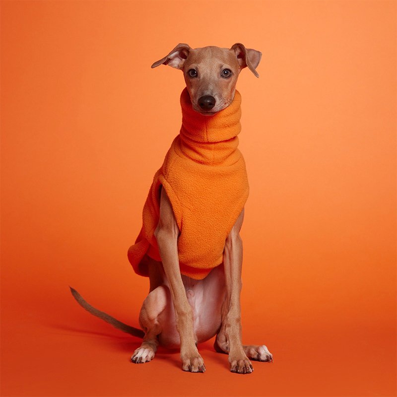 Dog Clothes Polar Fleece Turtleneck Shirts for Italian Greyhound Whippet - PIKAPIKA