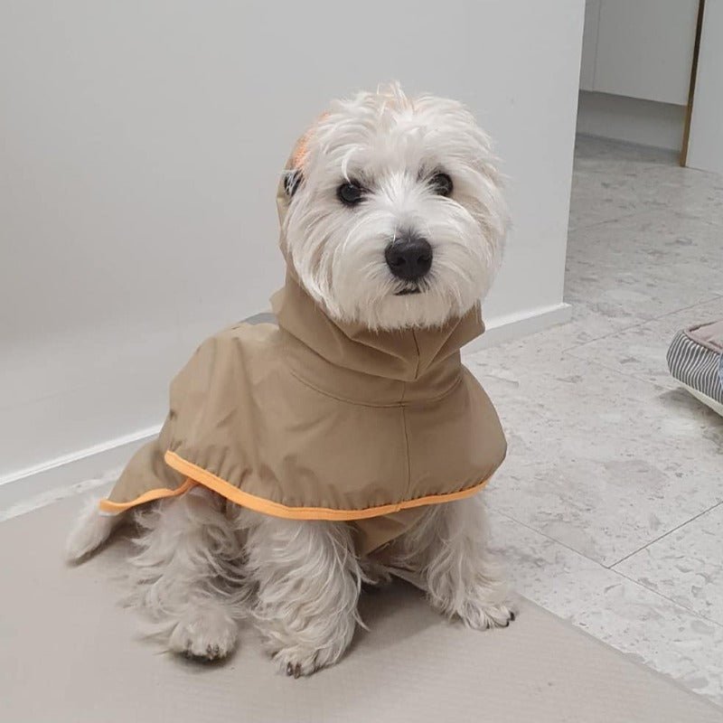 Dog Clothes Raincoat Waterproof Outdoor Jacket - PIKAPIKA
