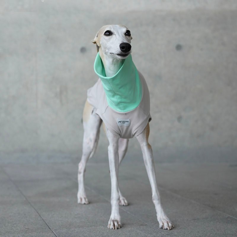 Dog Clothes Turtleneck Shirts for Italian greyhound Whippet - PIKAPIKA