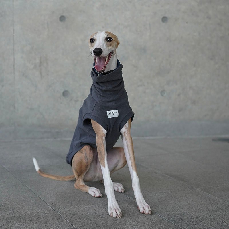 Dog Clothes Turtleneck Shirts for Italian greyhound Whippet - PIKAPIKA