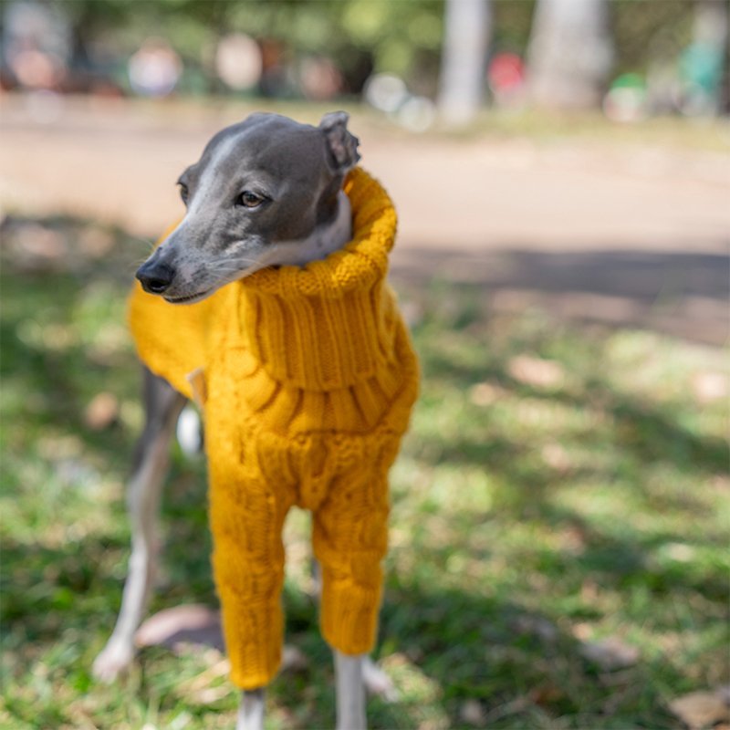 Dog Clothes Turtleneck Sweater Italian Greyhound Whippet - PIKAPIKA
