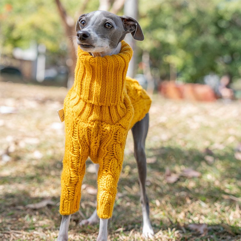 Dog Clothes Turtleneck Sweater Italian Greyhound Whippet - PIKAPIKA