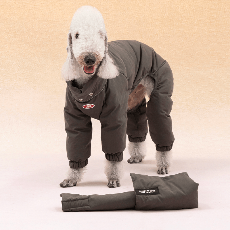 Dog Coat Down Padded Jacket 4Legs Snowsuits for Bedlington - PIKAPIKA