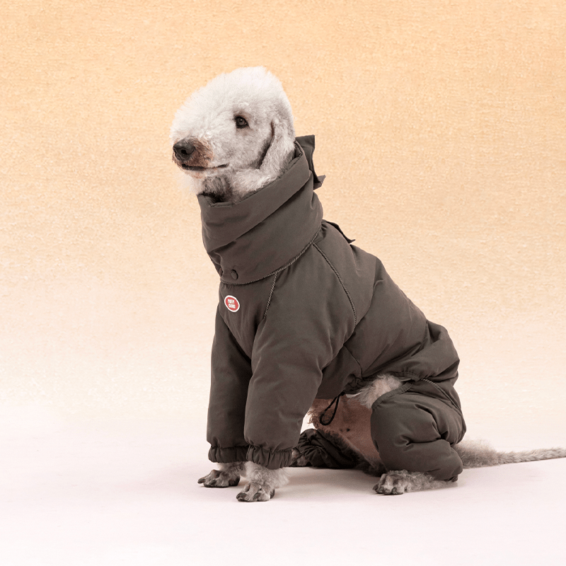 Dog Coat Down Padded Jacket 4Legs Snowsuits for Italian Greyhound Whippet - PIKAPIKA
