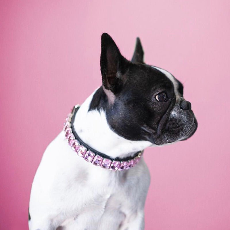Dog Collar Rhinestone Necklace PU Leather Shiny Faux Diamond - PIKAPIKA