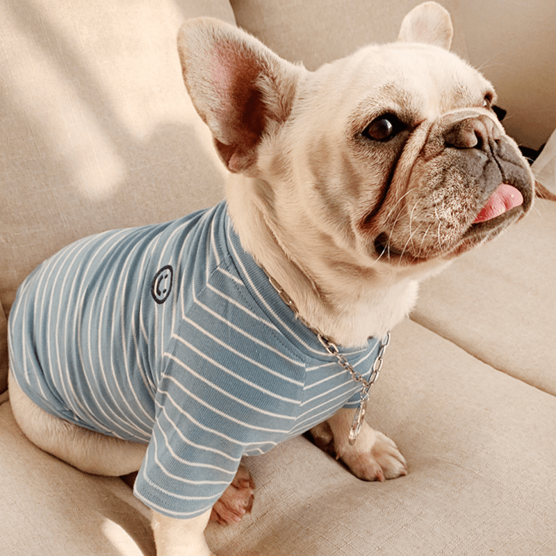 Dog Cotton Striped T-shirt for Adults and Pets Matching Outfit - PIKAPIKA