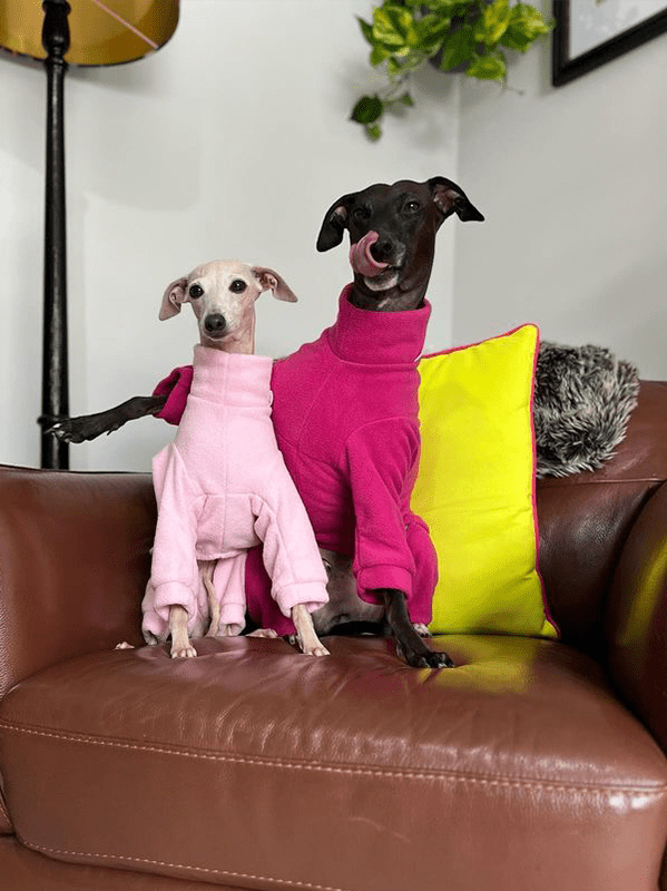 Dog Fleece Onesies Dinosaur Suits Italian Greyhound Whippet Clothes - PIKAPIKA