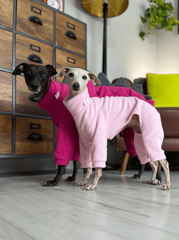 Dog Fleece Onesies Dinosaur Suits Italian Greyhound Whippet Clothes - PIKAPIKA