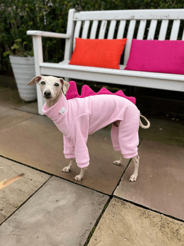 Dog Fleece Onesies Dinosaur Suits Italian Greyhound Whippet Clothes - PIKAPIKA