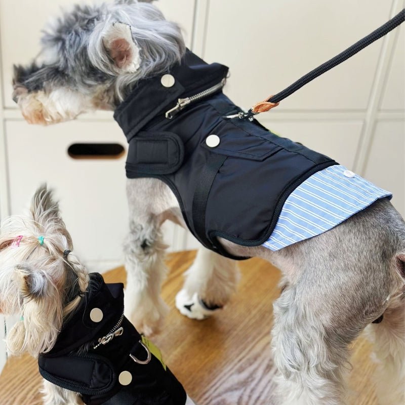Dog Harness Coat with D - ring Leashes Removable Neckline Outdoor Clothing - PIKAPIKA