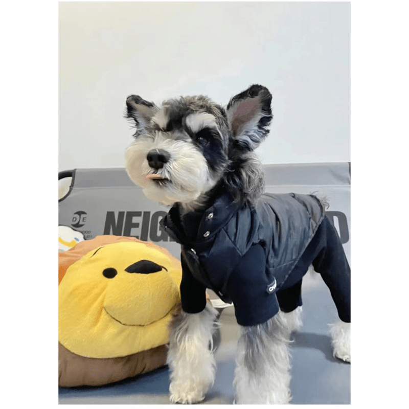 Dog Jacket Bulldog Clothes Padded Vest with Leash Sleeveless Warm - PIKAPIKA
