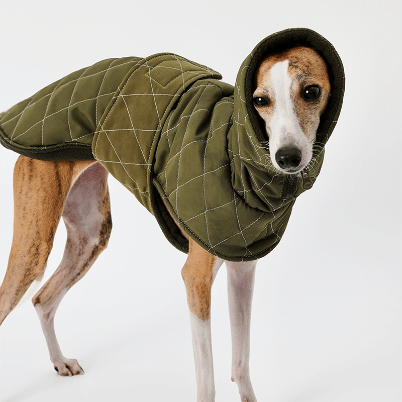 Dog Jacket Padded Quilting Coat for Italian Greyhound Whippet Clothes - PIKAPIKA