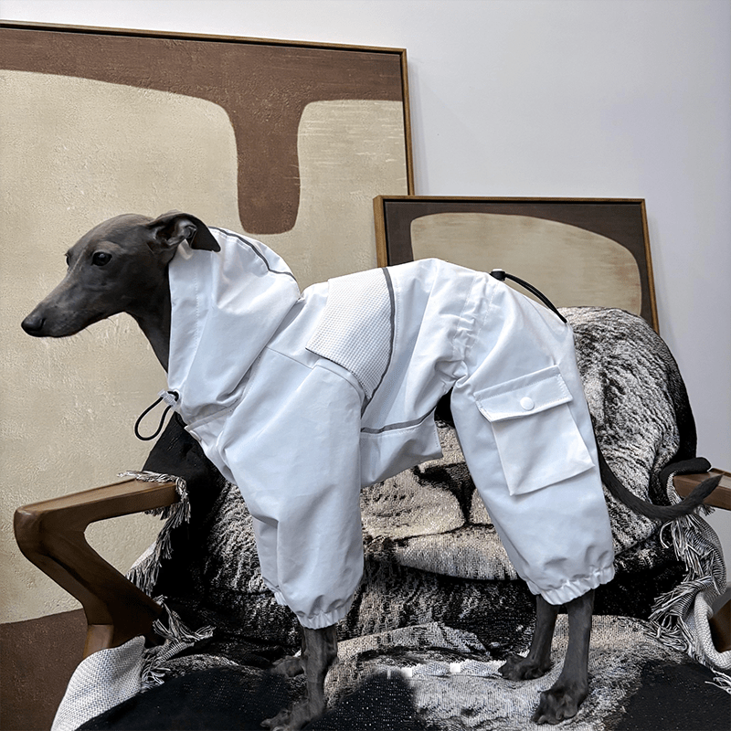 Dog Jacket Ski Wear Snowsuits for Big Dog Italian Greyhound Whippet Clothes - PIKAPIKA
