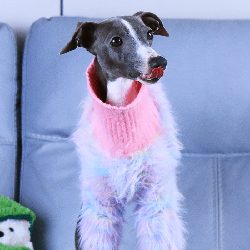 Dog Jumper Knit Plush Sweater for Italian Greyhound Clothes Soft - PIKAPIKA