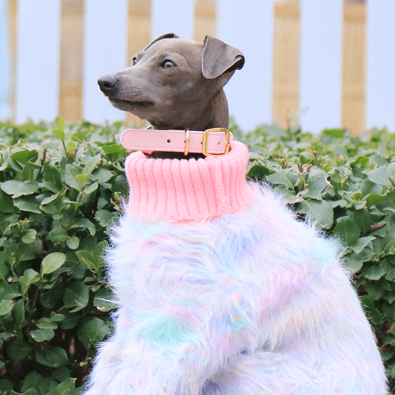 Dog Jumper Knit Plush Sweater for Italian Greyhound Clothes Soft - PIKAPIKA