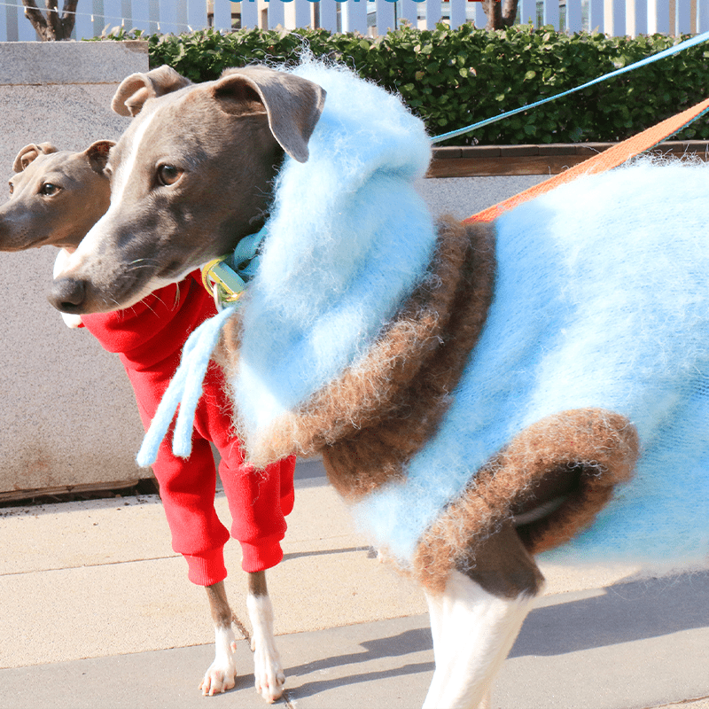 Dog Jumper Knit Plush Sweater for Italian Greyhound Clothes with Hat - PIKAPIKA