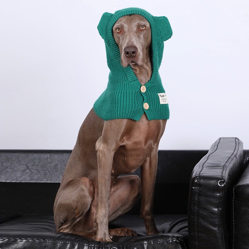 Dog Knit Hat Winter Collar Ear Warm Protect - PIKAPIKA