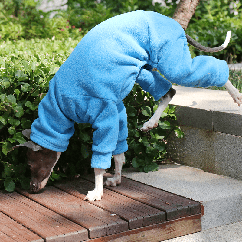 Dog Onesies Pajamas Fleece Clothes for Italian Greyhound Whippet Clothing - PIKAPIKA