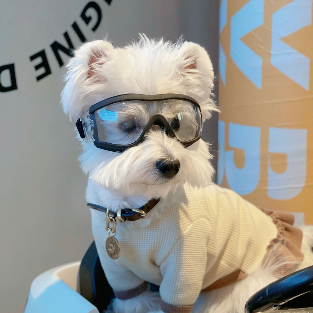 Dog Outdoor Goggles Sunglasses Windproof - PIKAPIKA