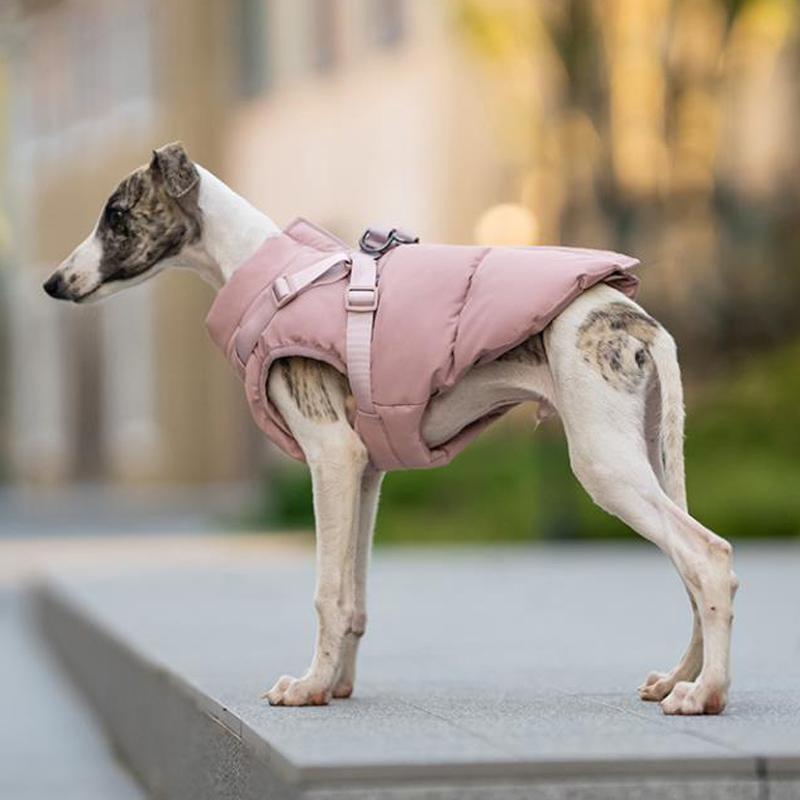 Dog Padded Vest Italian Greyhound Dog Clothes - PIKAPIKA