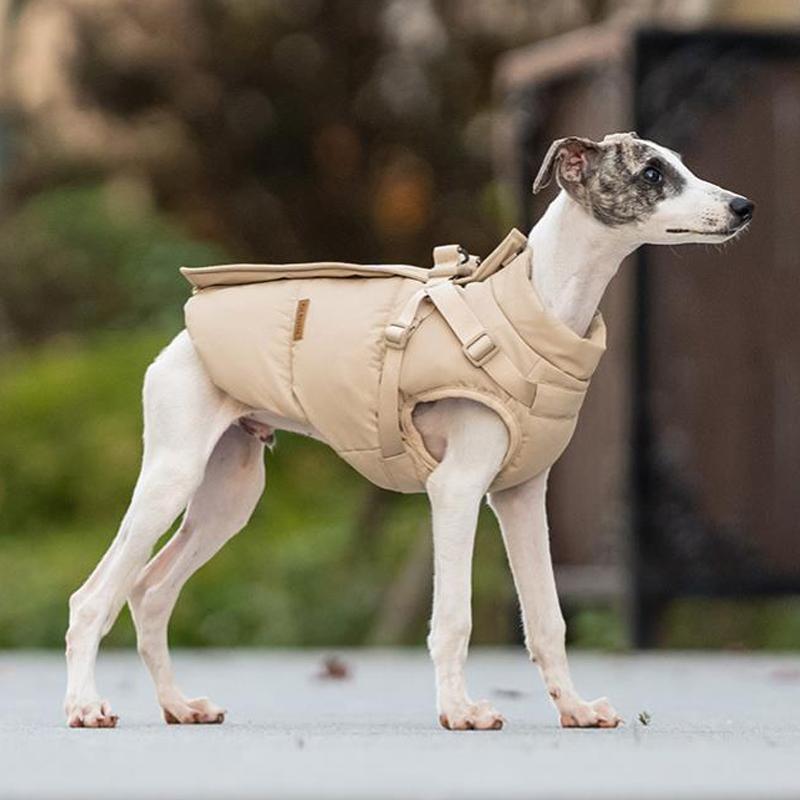 Dog Padded Vest Italian Greyhound Dog Clothes - PIKAPIKA