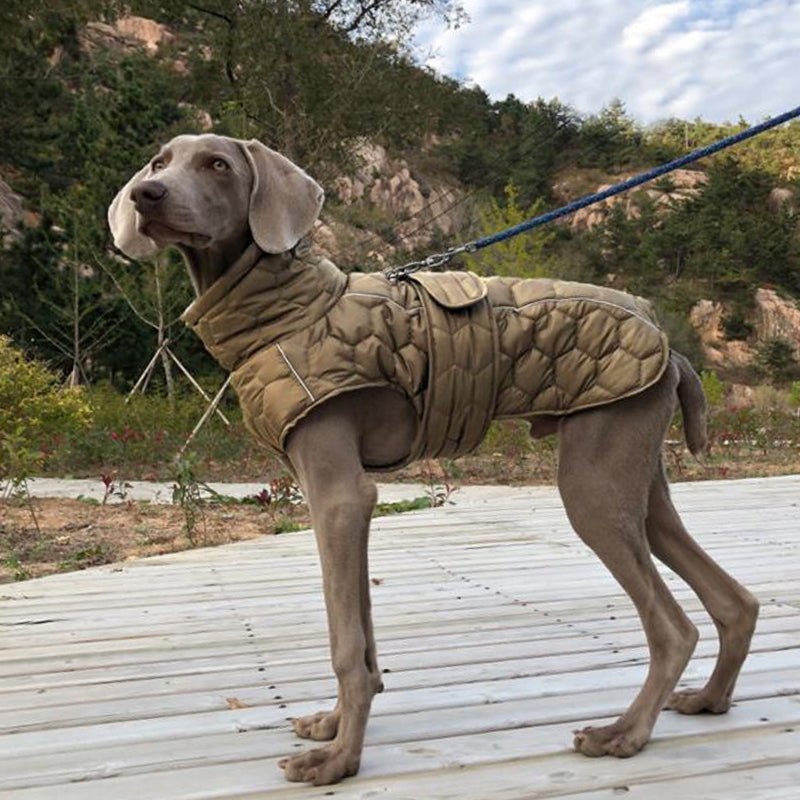 Dog Padded Vest Snowsuits Outdoor Clothes Outdoor Big Dog - PIKAPIKA
