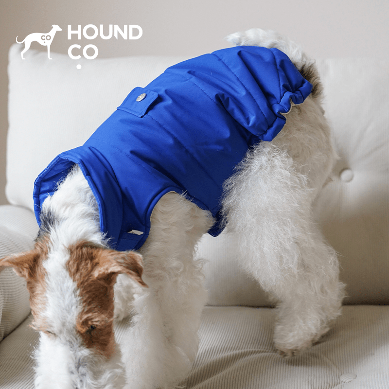 Dog Padding Vest Cotton Jacket Waterproof Outdoor Wear Italian Greyhound Clothes - PIKAPIKA