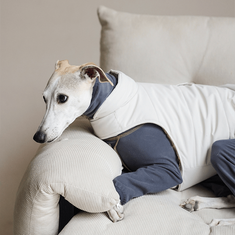Dog Padding Vest Cotton Jacket Waterproof Outdoor Wear Italian Greyhound Clothes - PIKAPIKA